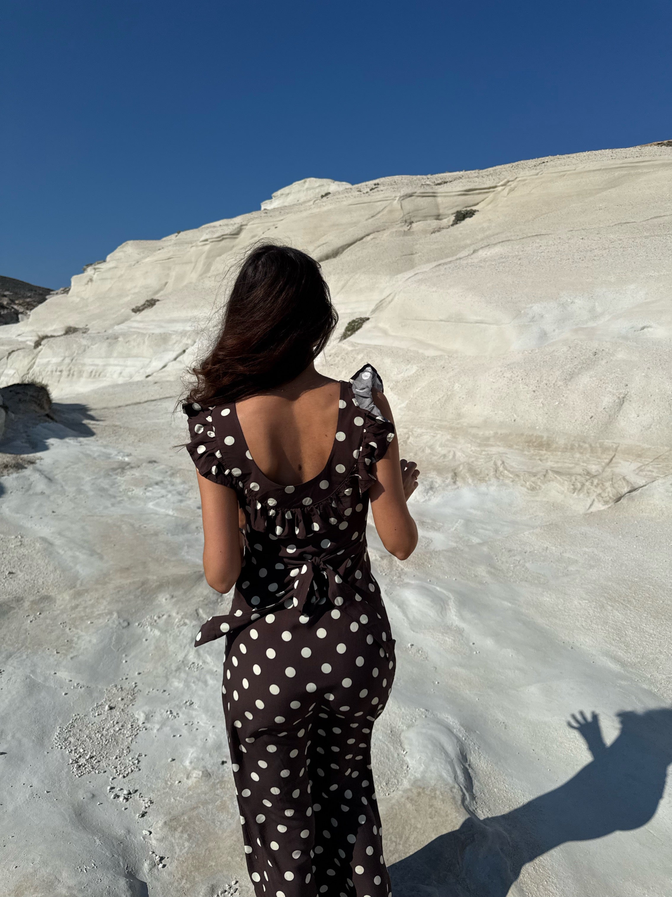 The Luna Brown Polka Dot Dress