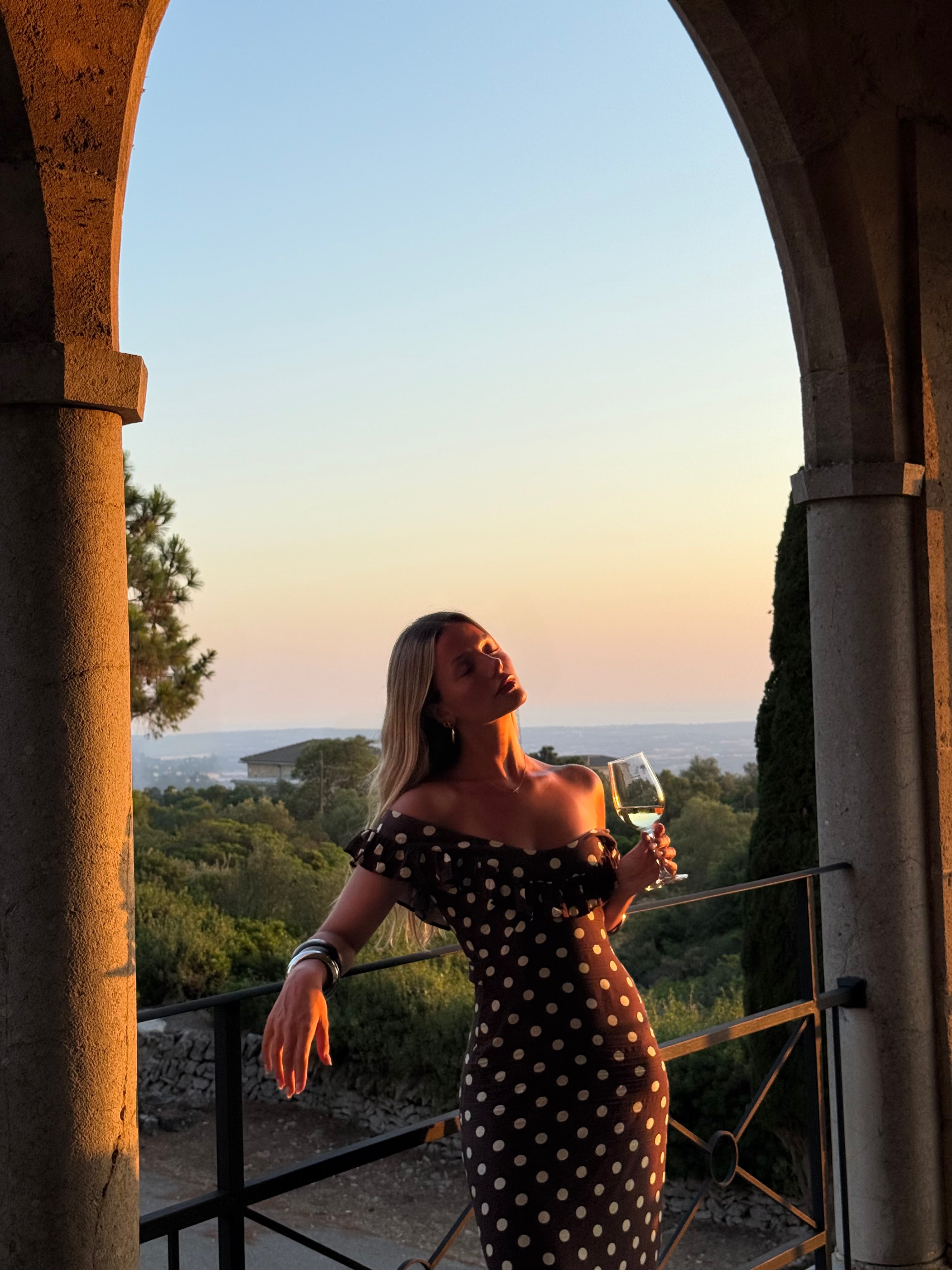 The Luna Brown Polka Dot Dress