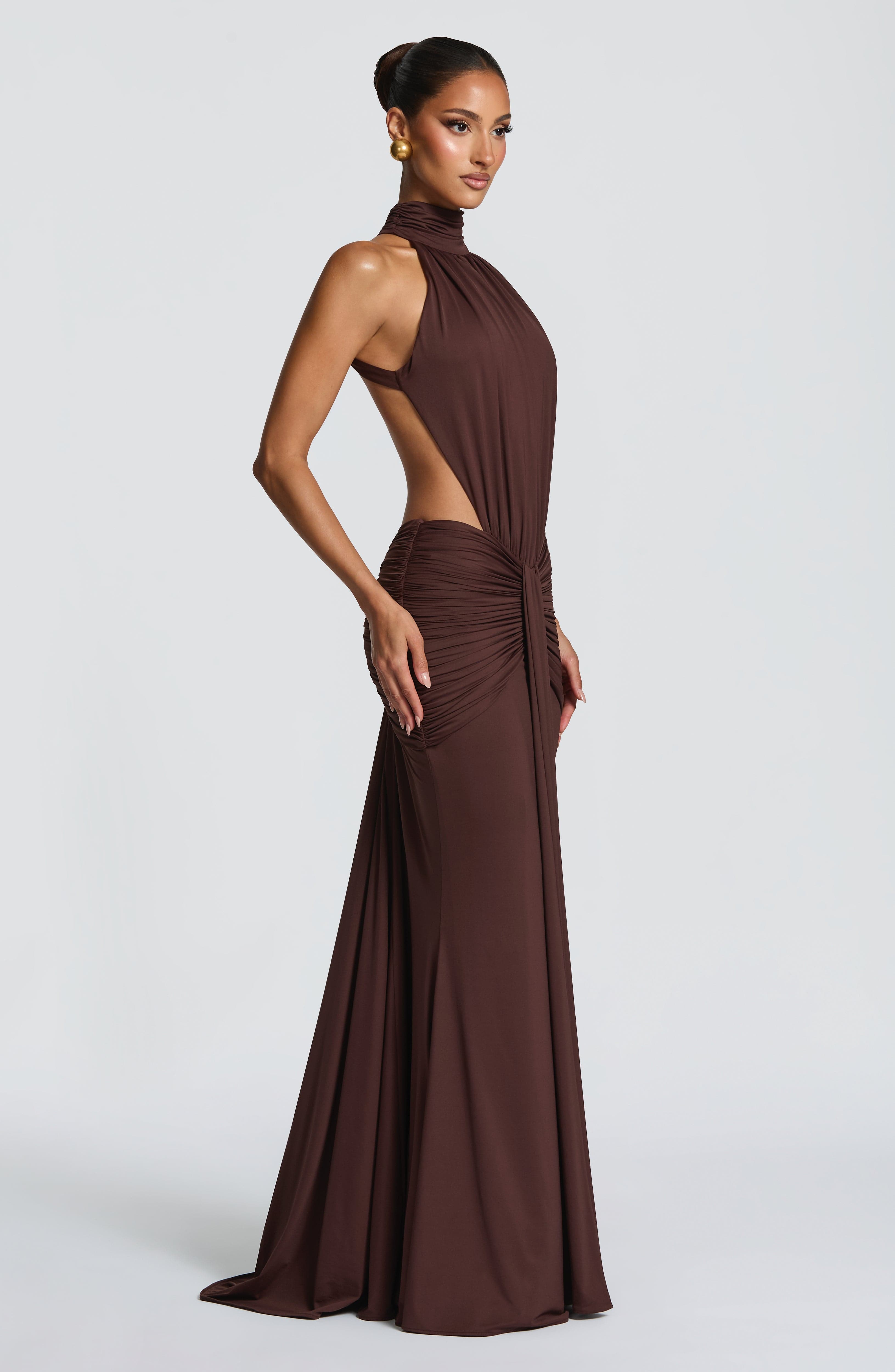 Plum Brown Dress