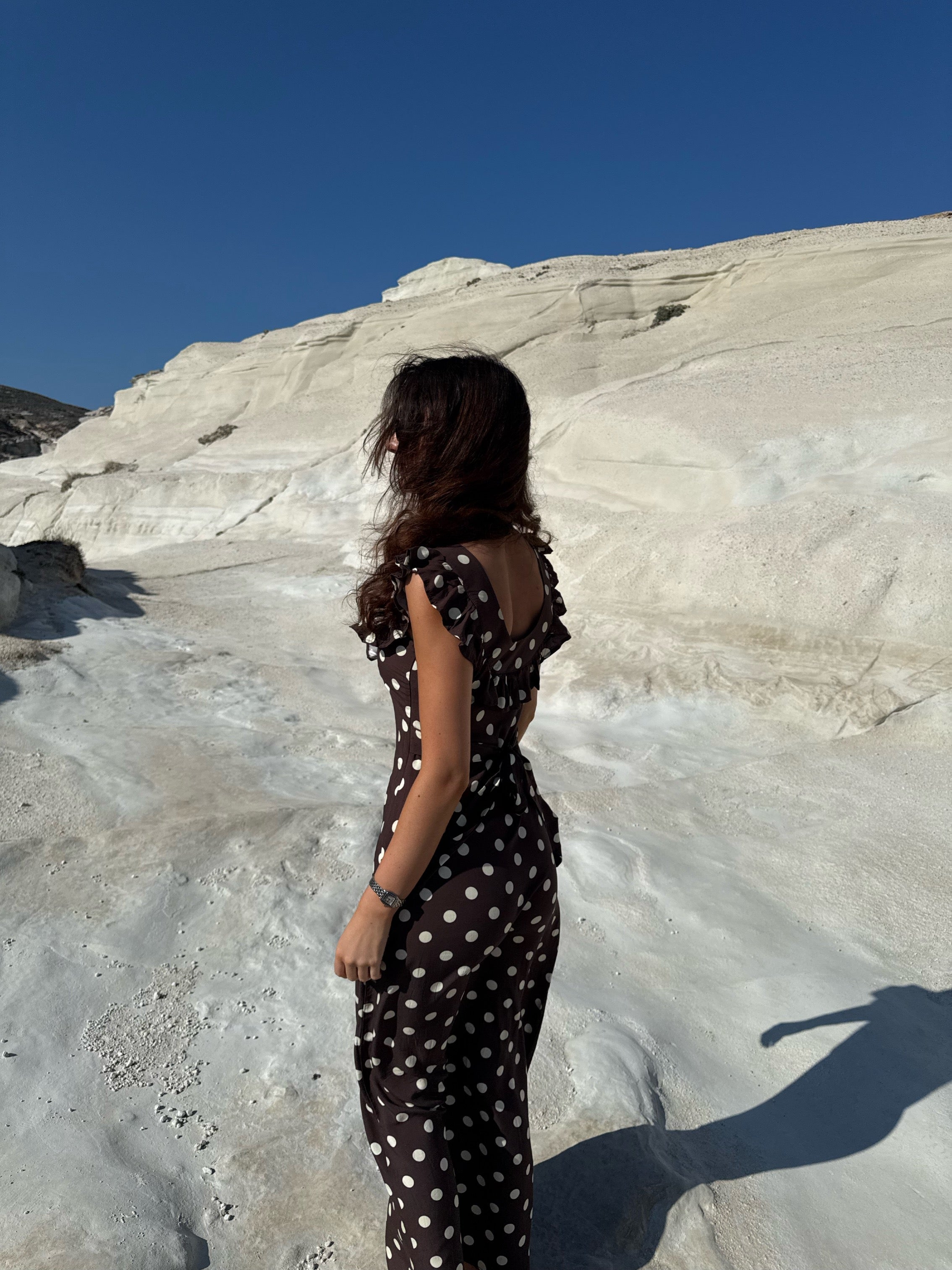 The Luna Brown Polka Dot Dress