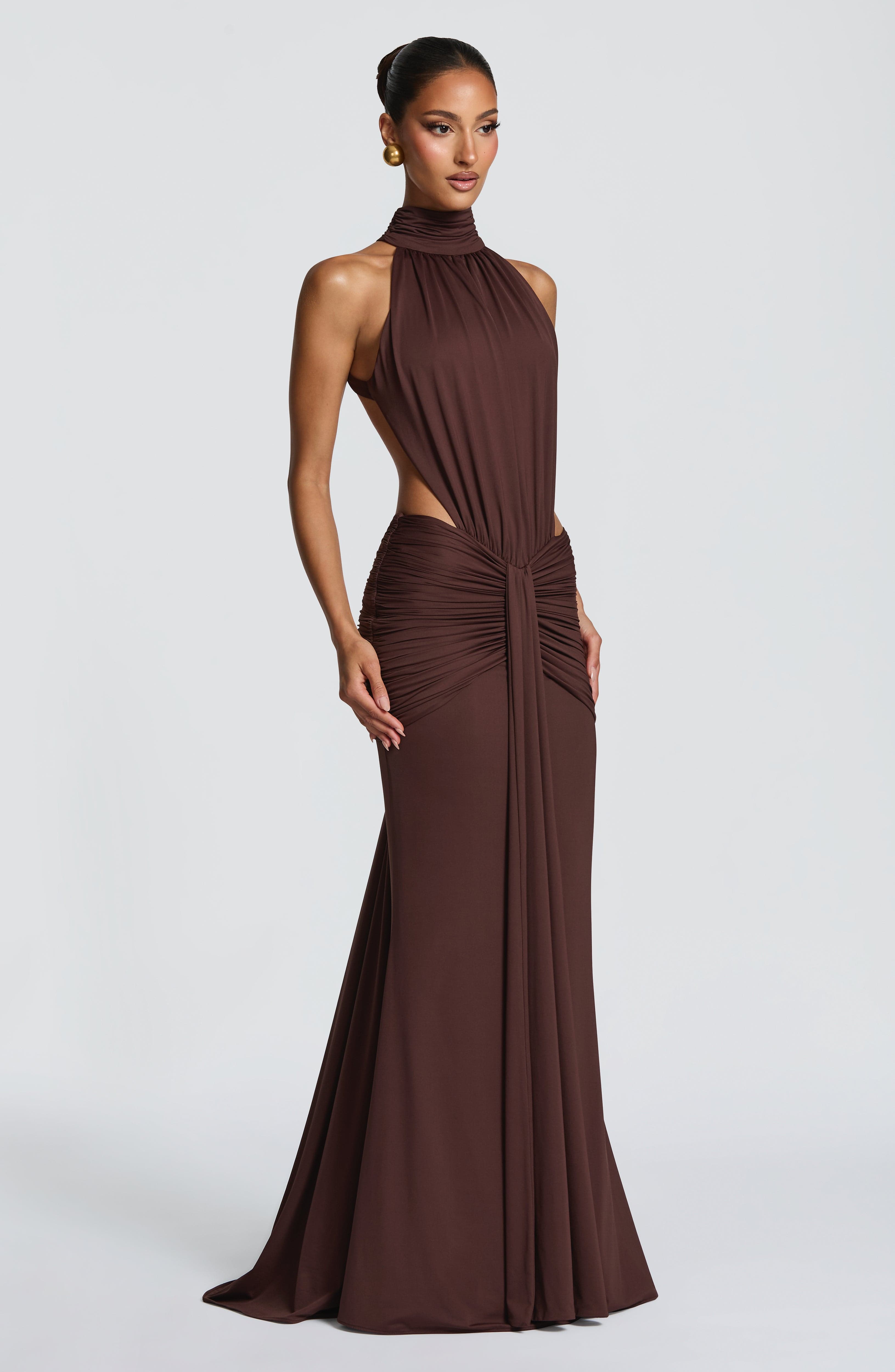 Plum Brown Dress